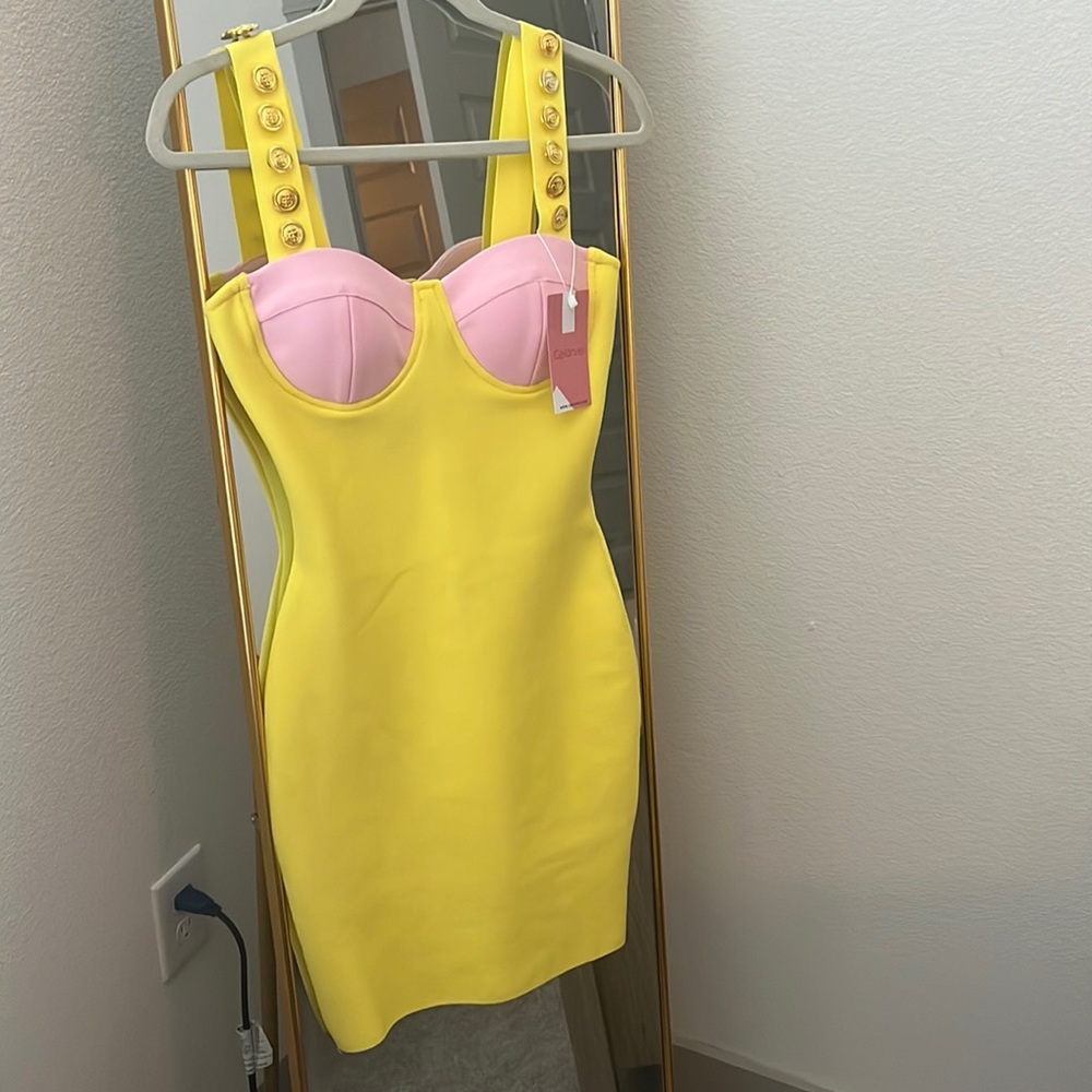 NWT party dress
